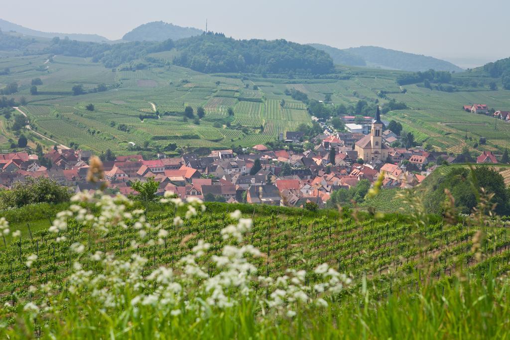 Braviscasa - Ferienresidenz Stadttor Endingen Endingen am Kaiserstuhl Exterior foto